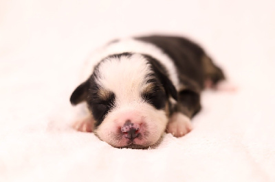 Une vie a t attendre