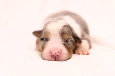 Un moment de bonheur