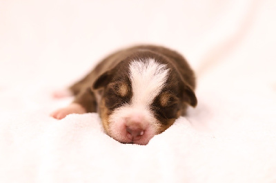 Un deux trois soleil